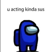 amongus231bruh's profile picture