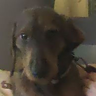 Aada's profile picture
