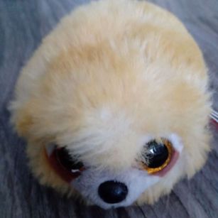 MopsiTheGamer's profile picture