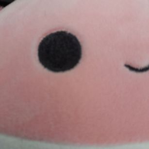 pepi's profile picture