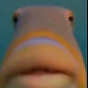 PositiveGiraffe's profile picture