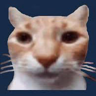 toasted's profile picture
