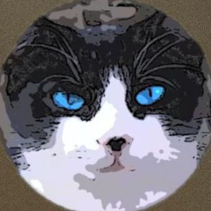 the kitty king!'s profile picture