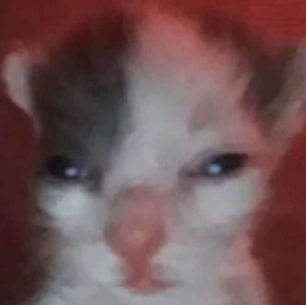 (This user has quitted)'s profile picture