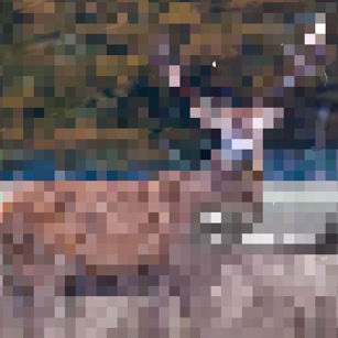 8BIT D.E.A.R's profile picture