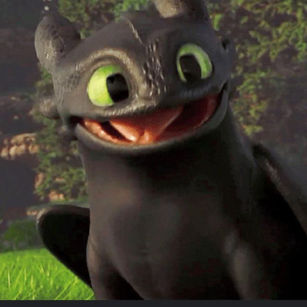 ToothlessAndAmirW's profile picture