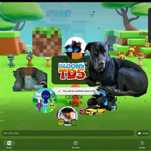 MinecraftCZAREK's profile picture