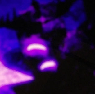 glitch's profile picture