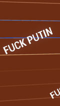 punch putin