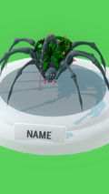 jungle spider