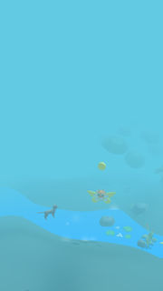 coincrash