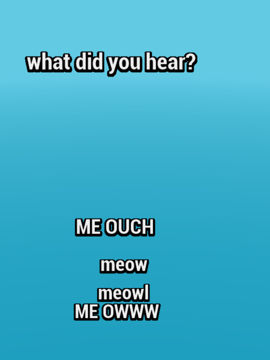 what you hear
