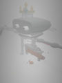dies