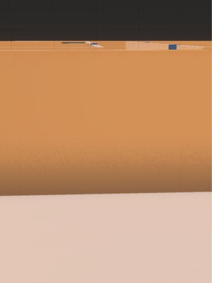 miss circle basics preview image