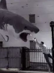 Sharknado credits  preview image