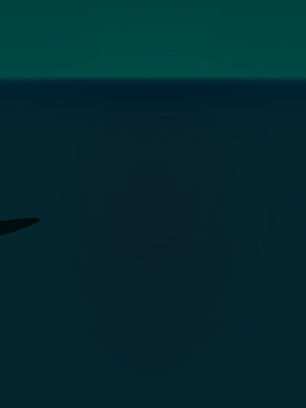 Sponsor preview image