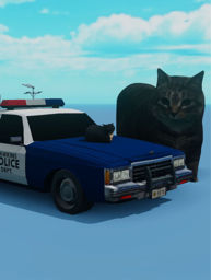 screenshot of UIIA cat simulator 