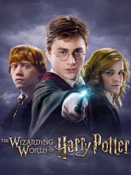 screenshot of harry potter RP-the low level