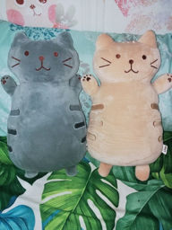 CATLANDO HOTEL 2