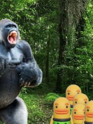 100 human Vs gorilla