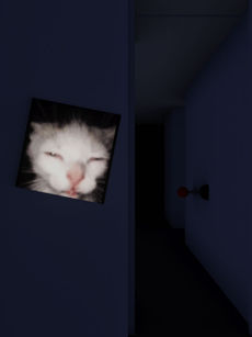 Don't open the door